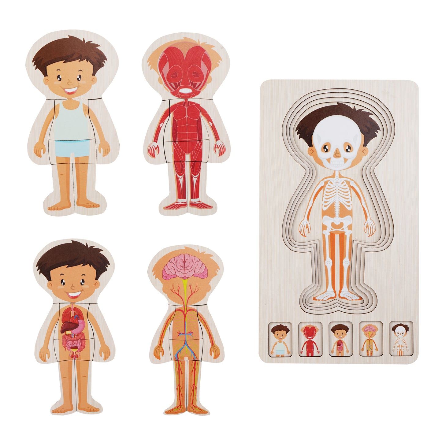 Wooden Body Layer Puzzle - Boy