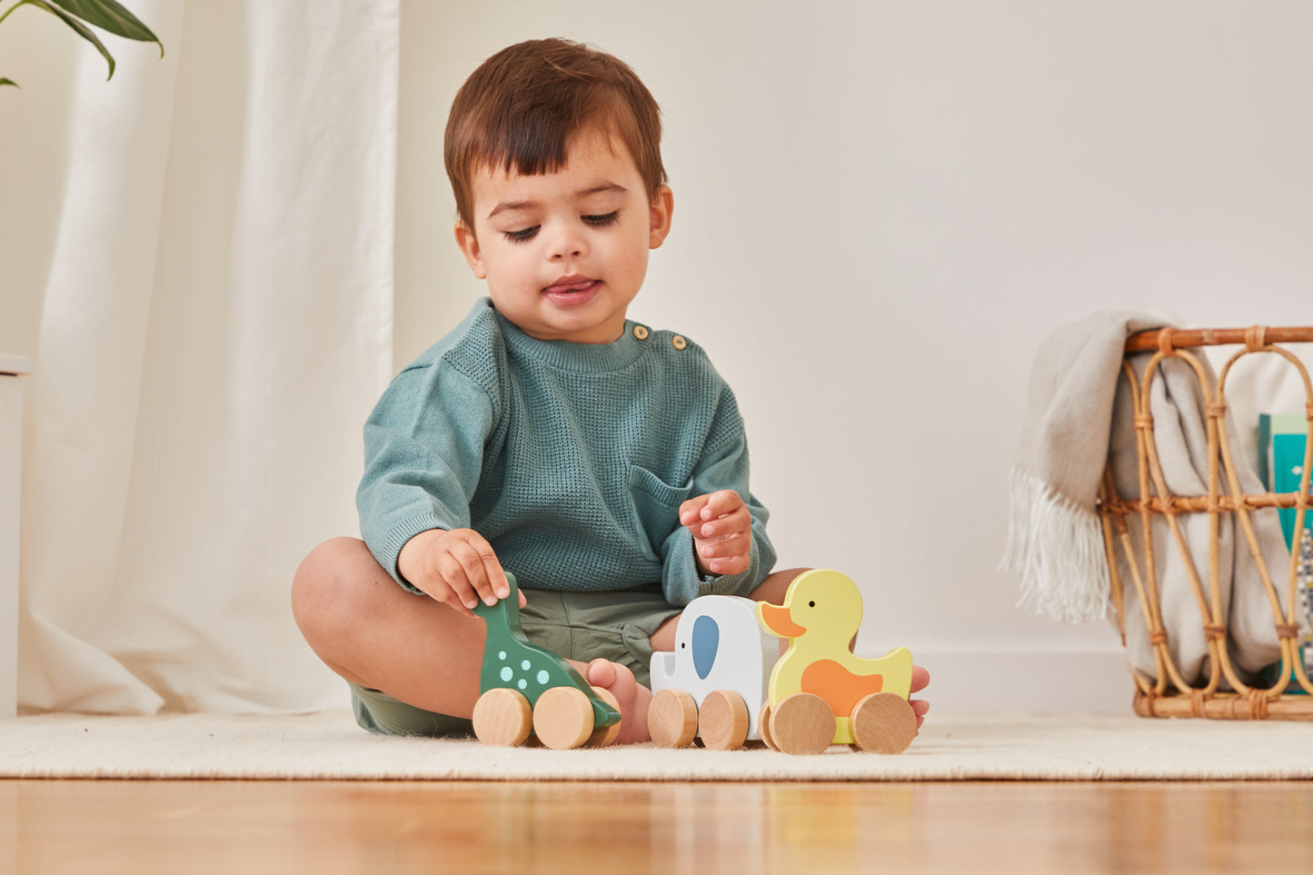 Barbo Wood - Wood Animal Display (with 12psc) FSC