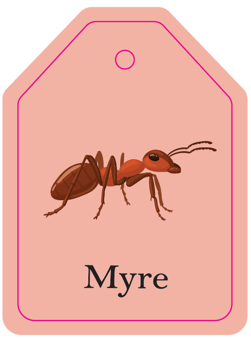 Flash cards - On The farm