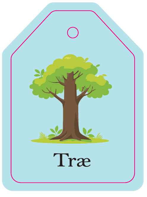Flash Cards - Mine Første Ord