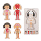 Wooden Body Layer Puzzle - Girl