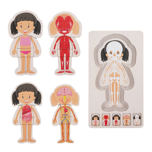 Wooden Body Layer Puzzle - Girl