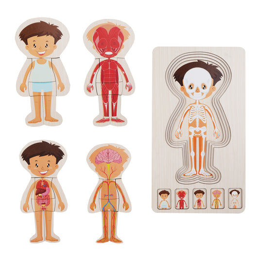 Wooden Body Layer Puzzle - Boy