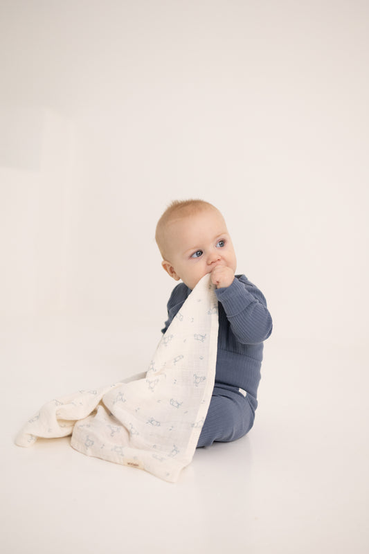 Moomin - Muslin Cloth - 2-pack - Blue