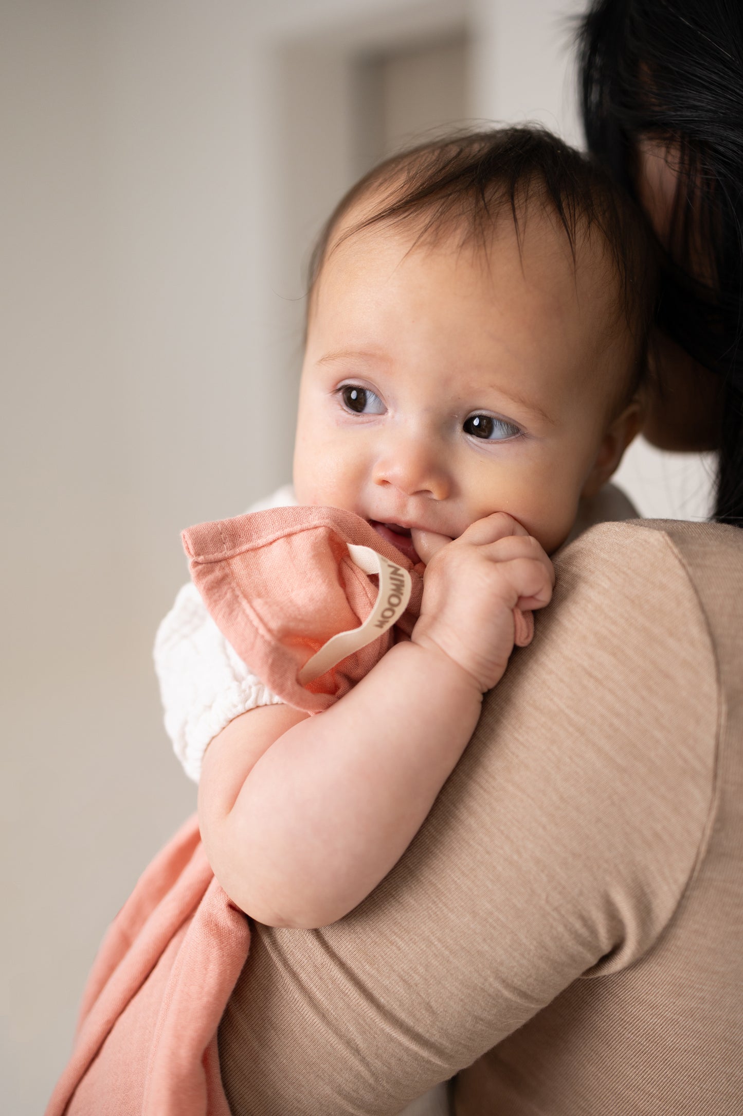 Moomin - Muslin Cloth - 2-pack - Pink