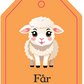 Flash cards - On The farm
