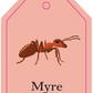 Flash cards - On The farm