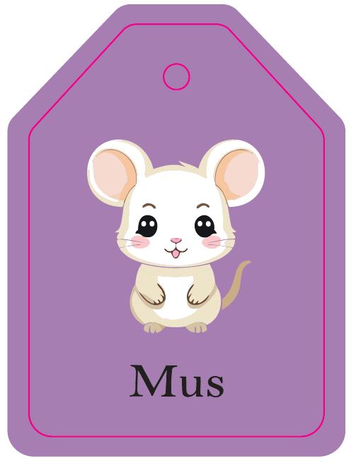 Flash cards - On The farm