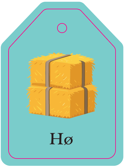 Flash cards - On The farm