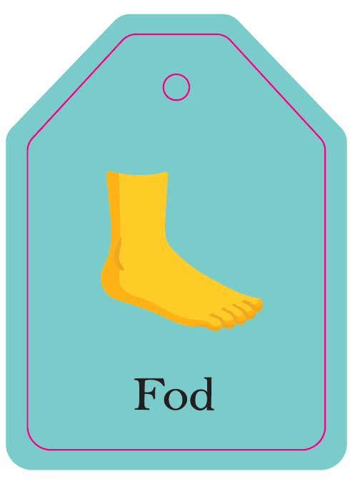 Flash Cards - Mine Første Ord